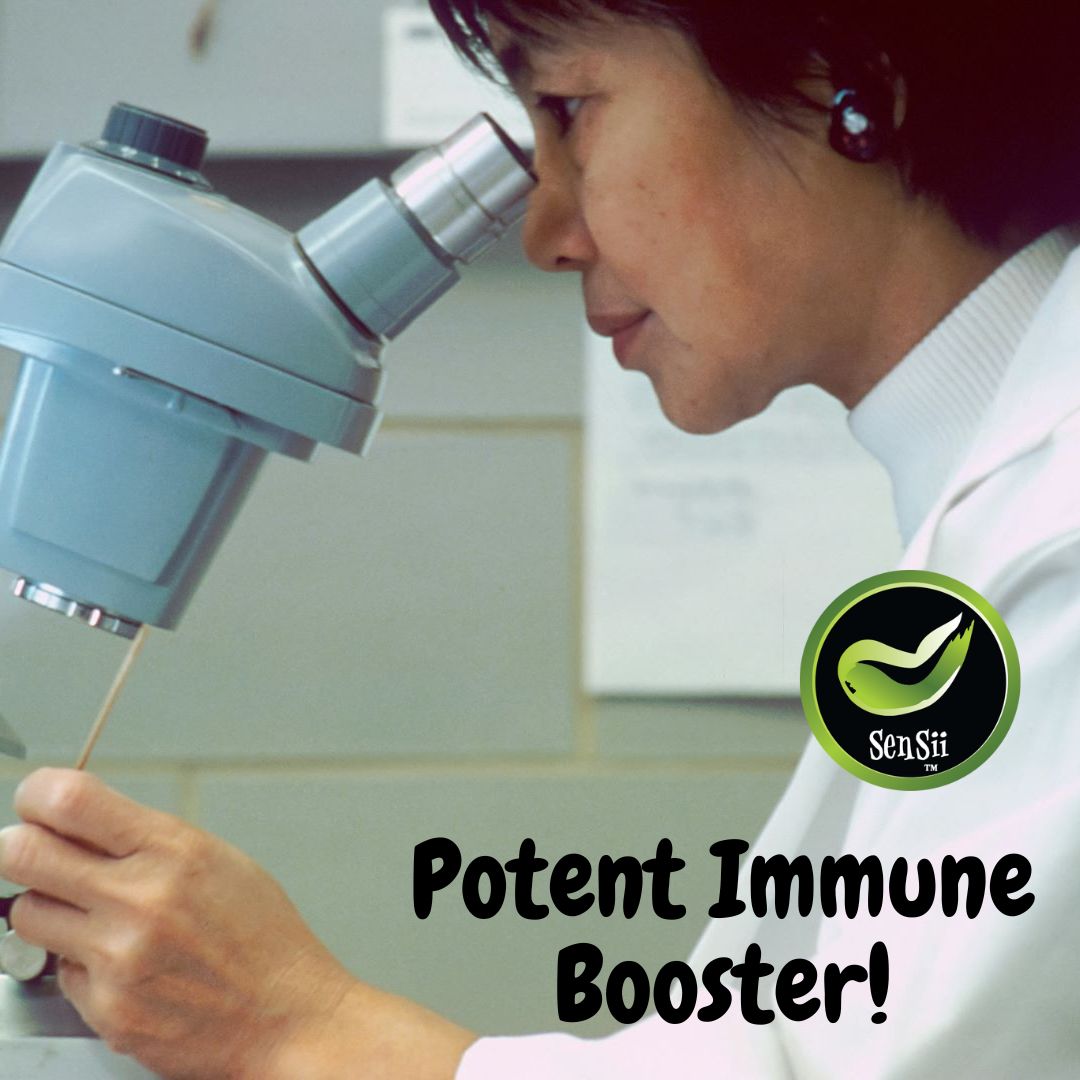 🌿 Cancer Bush Capsules – Strength When You Need It Most - 60 Capsules