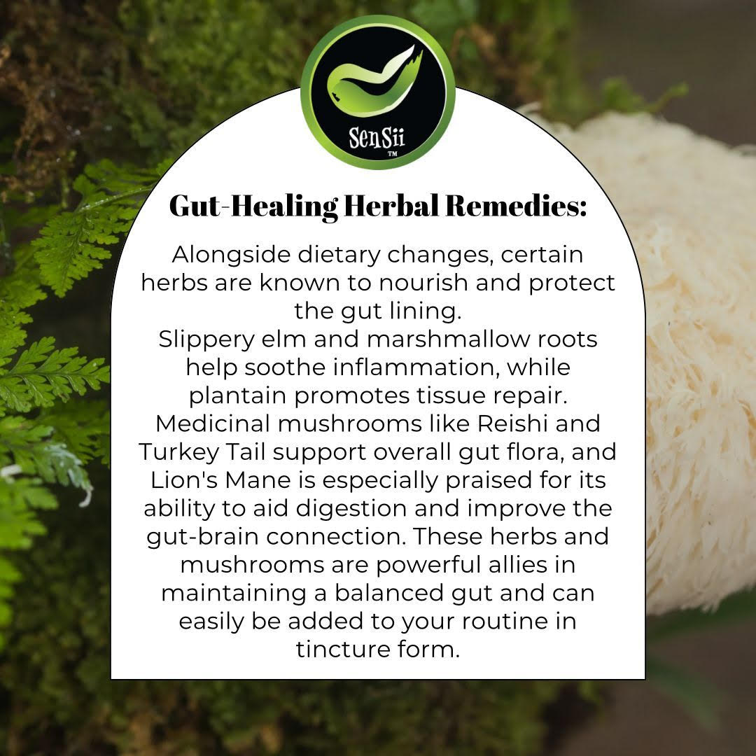 Your Gut is Talking, Are You Listening?