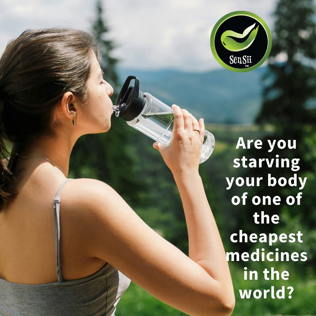🌿 Supercharge Your Health with Moringa + Fulvic! 60 Capsules🌿