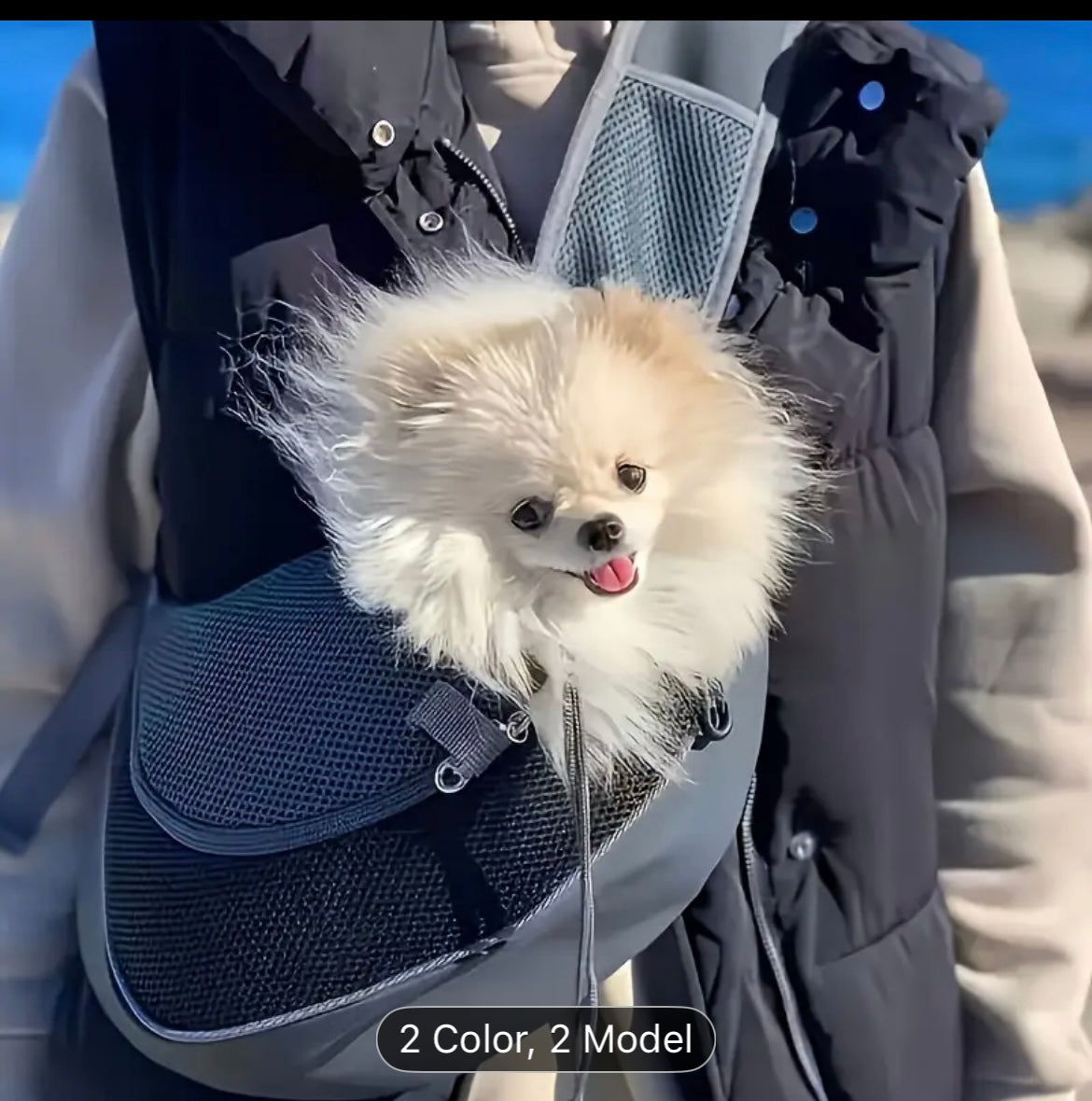 Adventure Pet Duo: Foldable Bowl + Breathable Crossbody Backpack