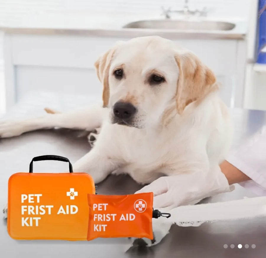 15pcs Pet First Aid Kit. Ideal for preppers!
