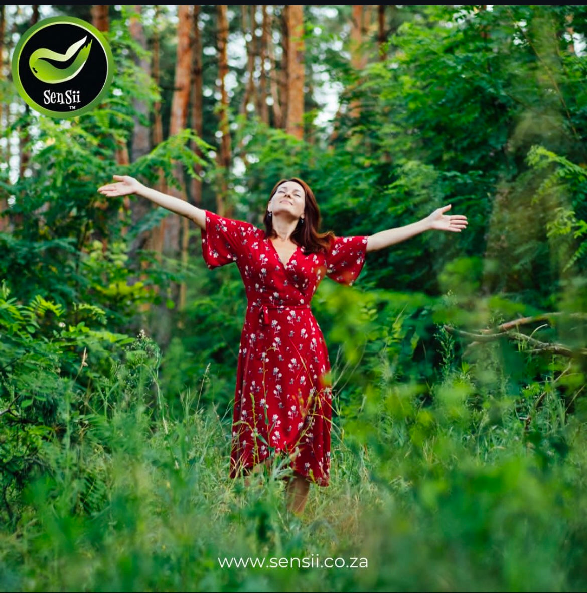 🌿 Supercharge Your Health with Moringa + Fulvic! 60 Capsules🌿