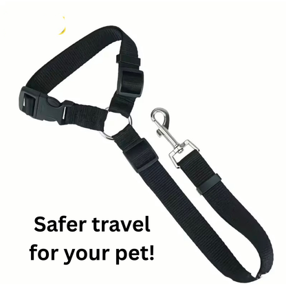 Safety Pet Leash for Car and Walks in the Park!