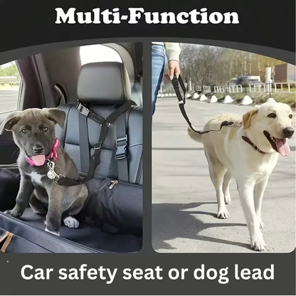 Safety Pet Leash for Car and Walks in the Park!