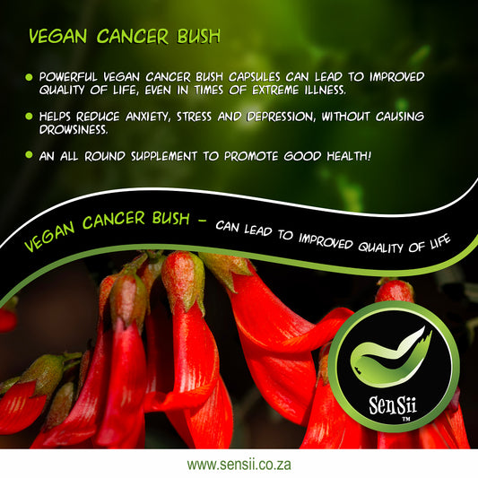🌿 Cancer Bush Capsules – Strength When You Need It Most - 60 Capsules
