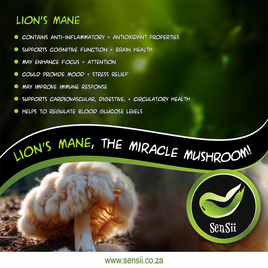 🦁 Unlock Your Mind’s Full Potential with Lion’s Mane! 🧠✨ 60 Capsules