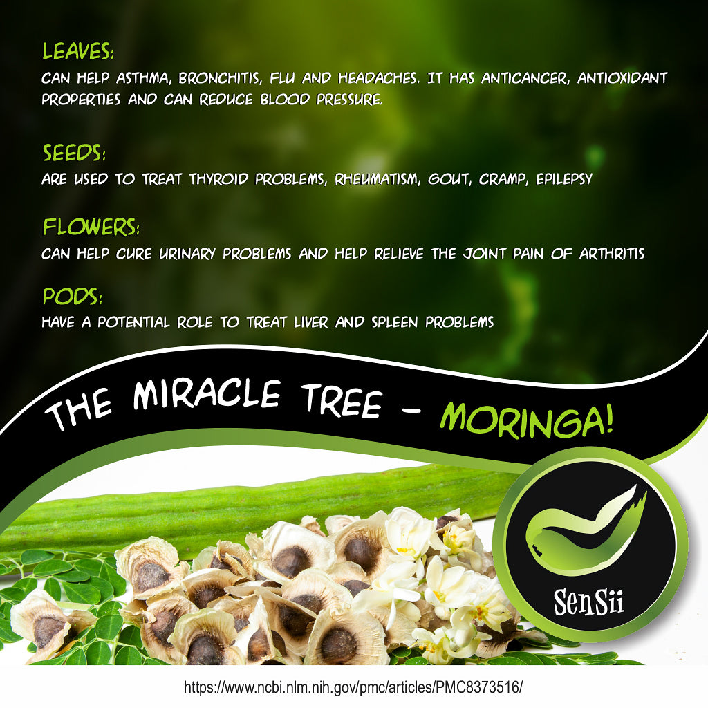 🌿 Supercharge Your Health with Moringa + Fulvic! 60 Capsules🌿