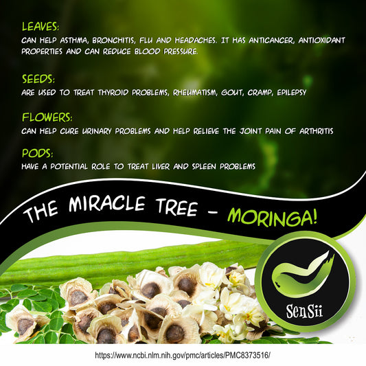 🌿 Supercharge Your Health with Moringa + Fulvic! 60 Capsules🌿